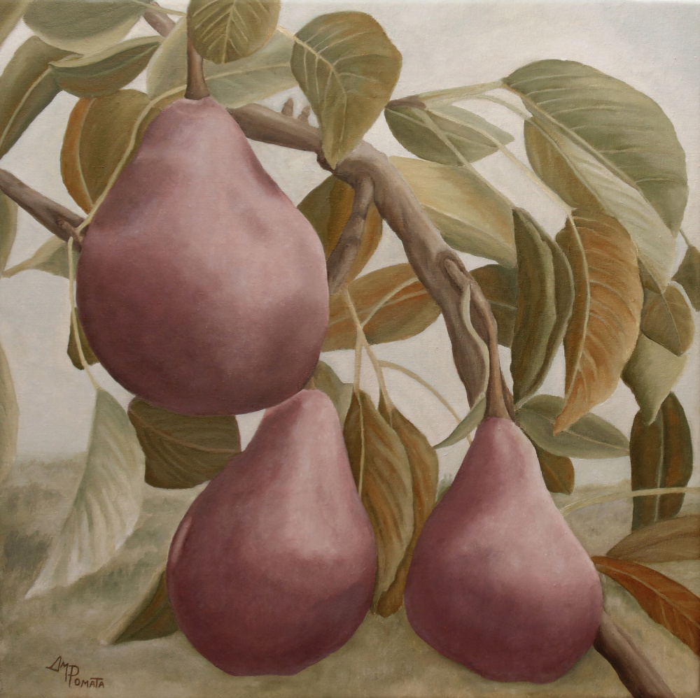 Max Red Bartlett Pears von Angeles M. Pomata