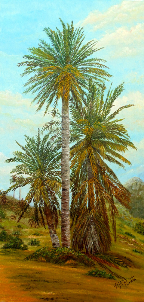 Palm Trees von Angeles M. Pomata