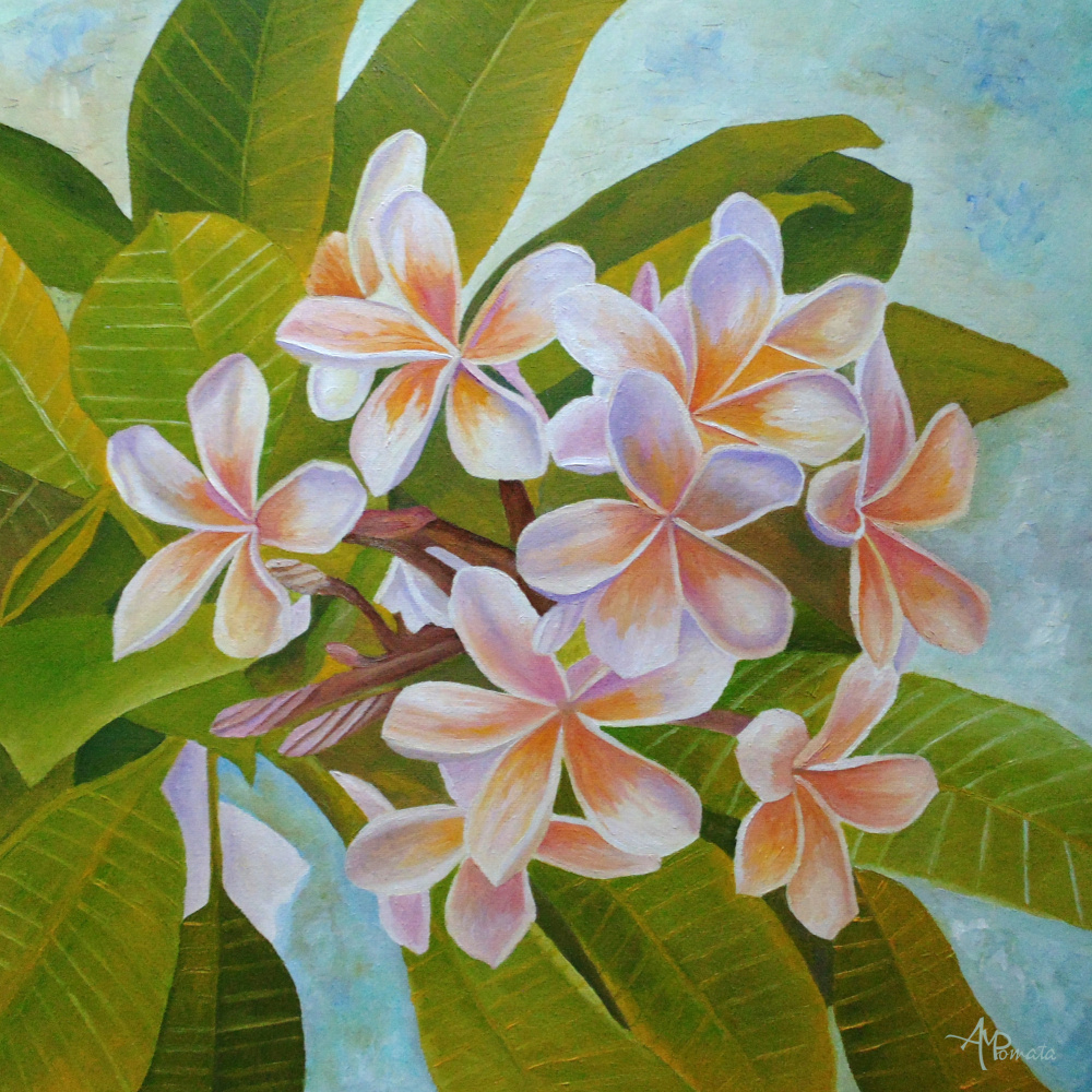 Plumeria von Angeles M. Pomata