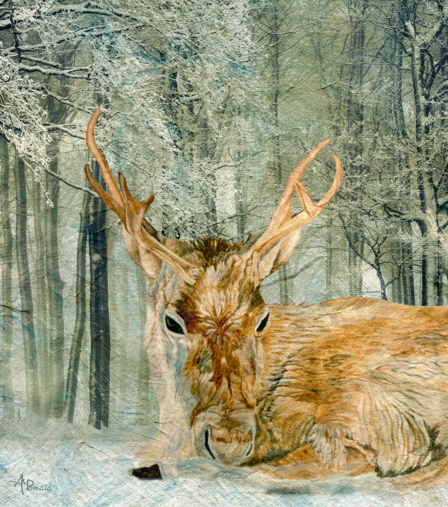 Reindeer In the Forest von Angeles M. Pomata