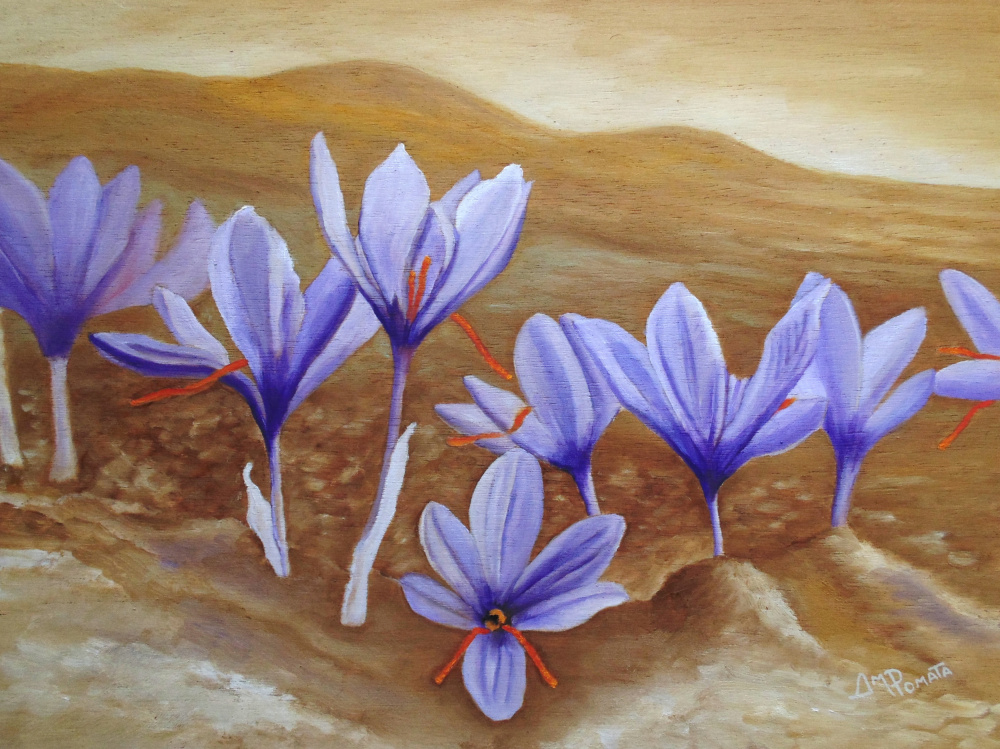 Saffron Flowers von Angeles M. Pomata