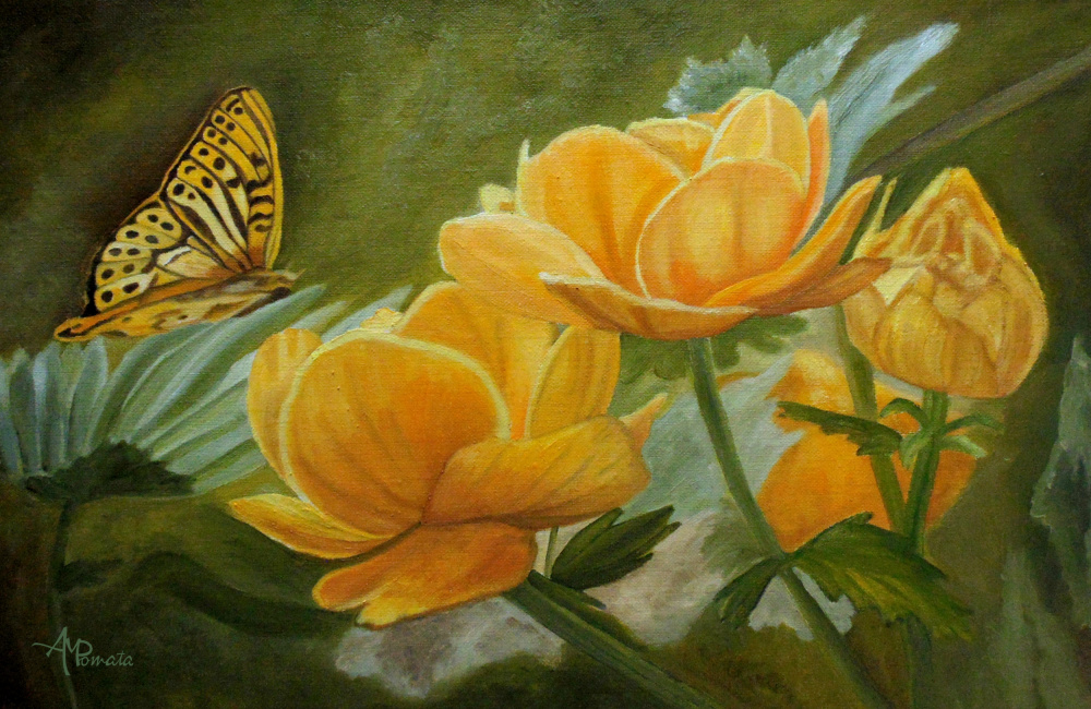 Butterfly Among Yellow Flowers von Angeles M. Pomata