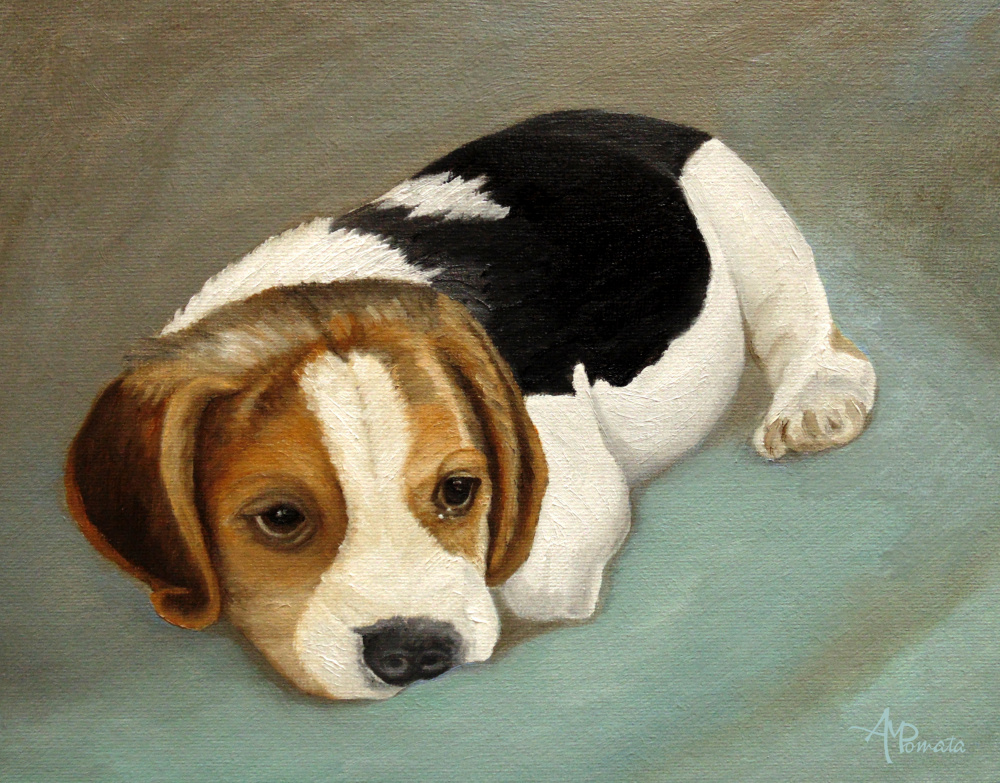 Cute Beagle von Angeles M. Pomata