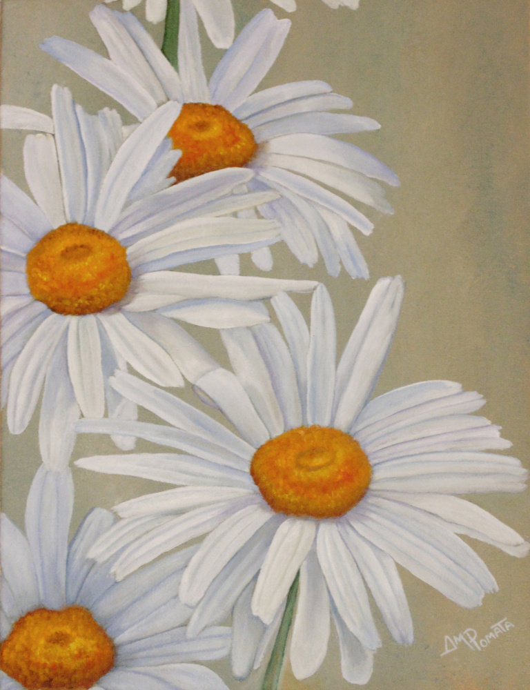 White Daisies von Angeles M. Pomata