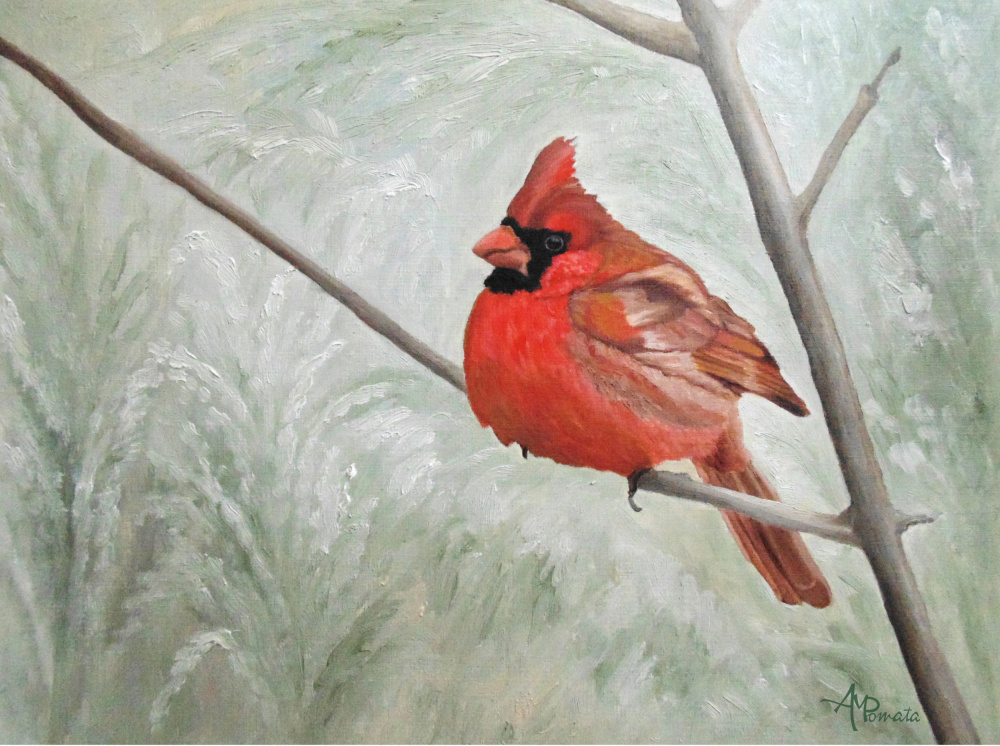 Winter Cardinal von Angeles M. Pomata