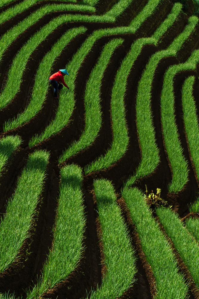 Working in nature von Anges van der Logt