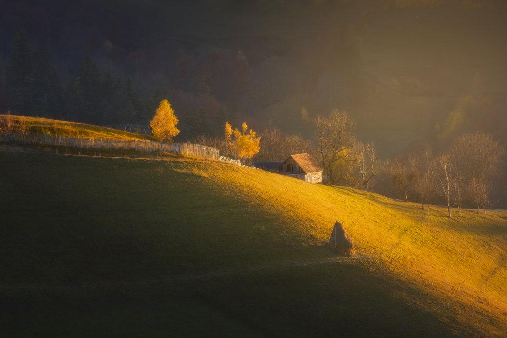 Morning Light von Anghel Rusu