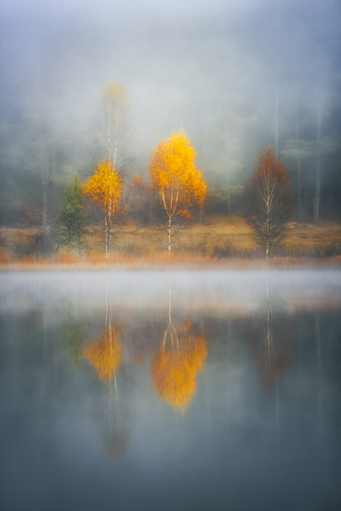 Frame of Autumn von Anghel Rusu