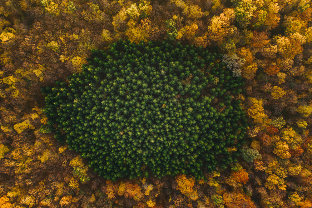 Nature von Angyalosi Beáta