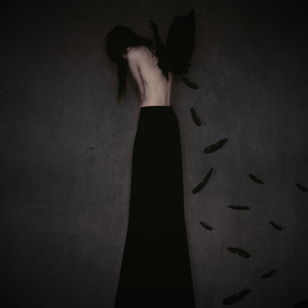 Fallen Angel von Anja Matko