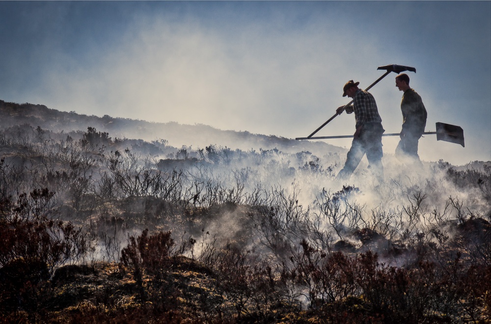 Burning the heather von Ann Chown