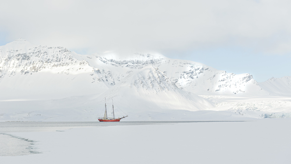 Peaceful  journey von Ann Cornelis