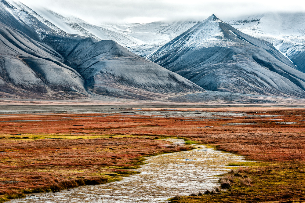 Autumn in Longyearbyen von Ann Cornelis