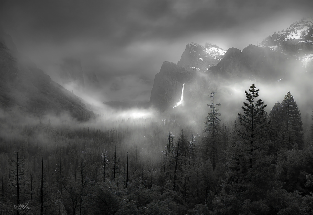 Foggy Yosemite Valley von ANNA AN