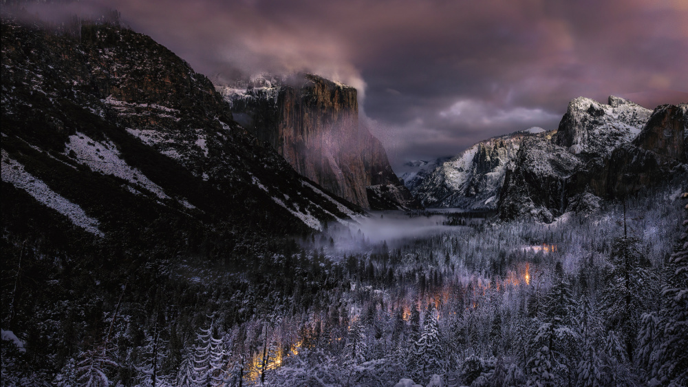 Yosemite View von ANNA AN