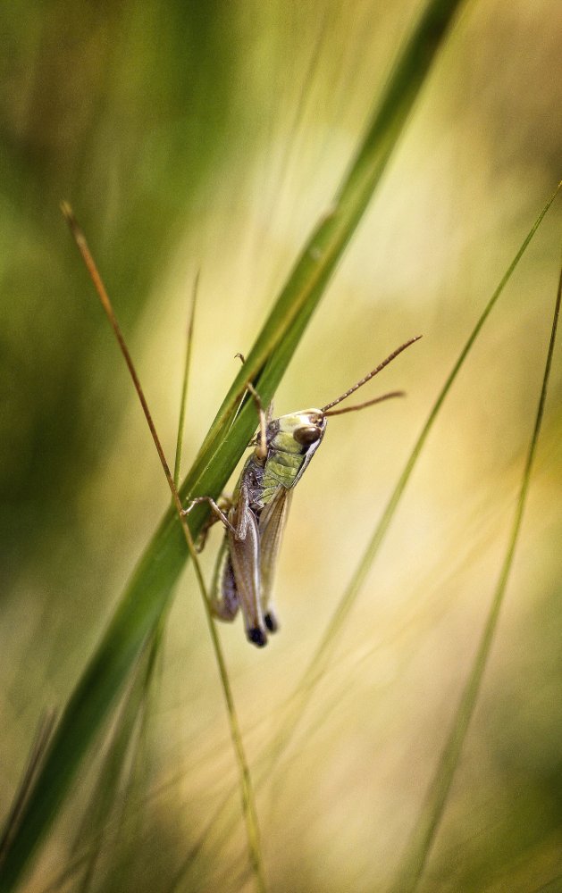 holding tight von Anna Cseresnjes