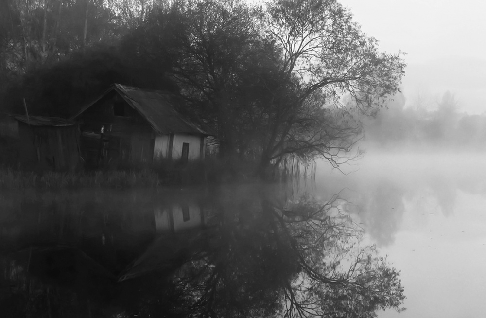 Silent morning von Anna Kudriavtseva