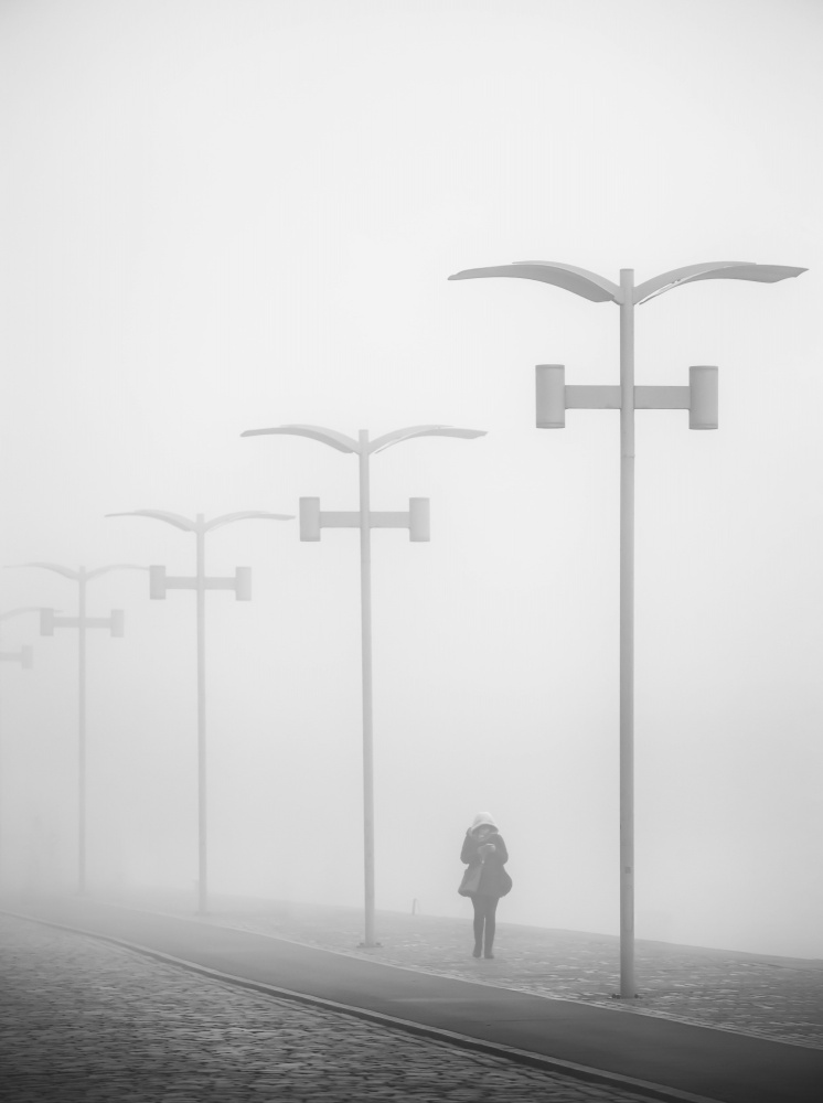 Walk in the fog. von Anna Niemiec