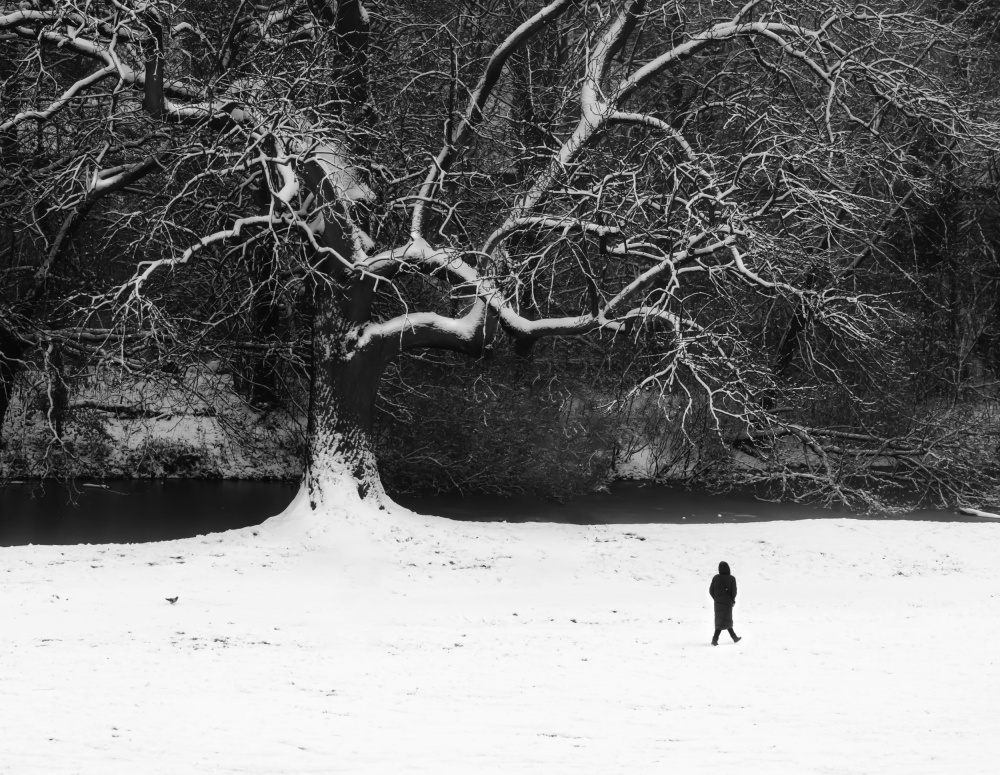 Walk in black and white. von Anna Niemiec