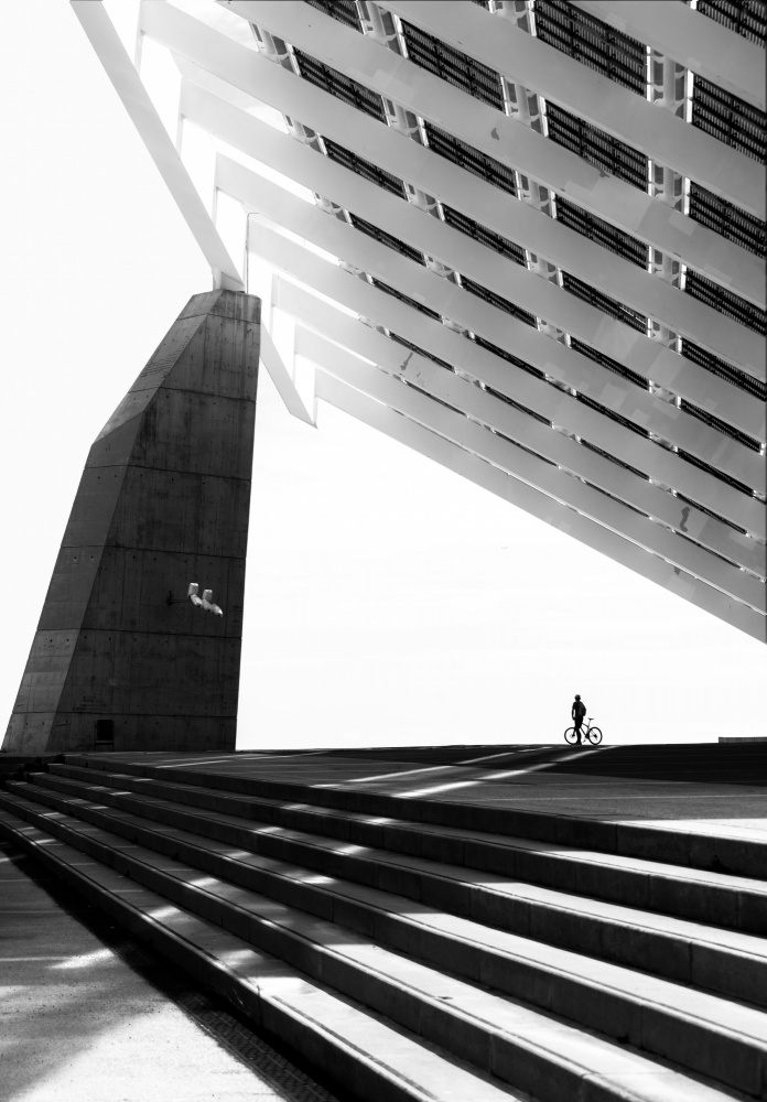 In the shadow of a solar power plant von Anna Niemiec