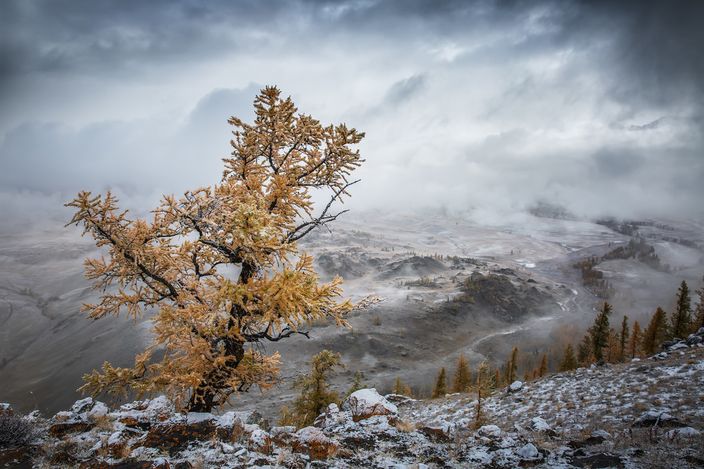 Cold autumn morning in the mountains von Anna Pakutina