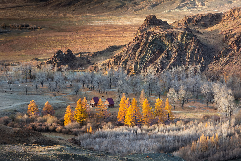 Oasis in the mountains (Altai) von Anna Pakutina