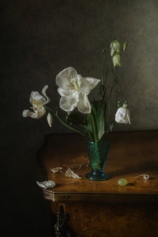 White petals von Anna Petina