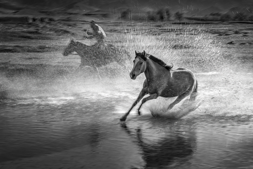 Running horses von Anna Zhang