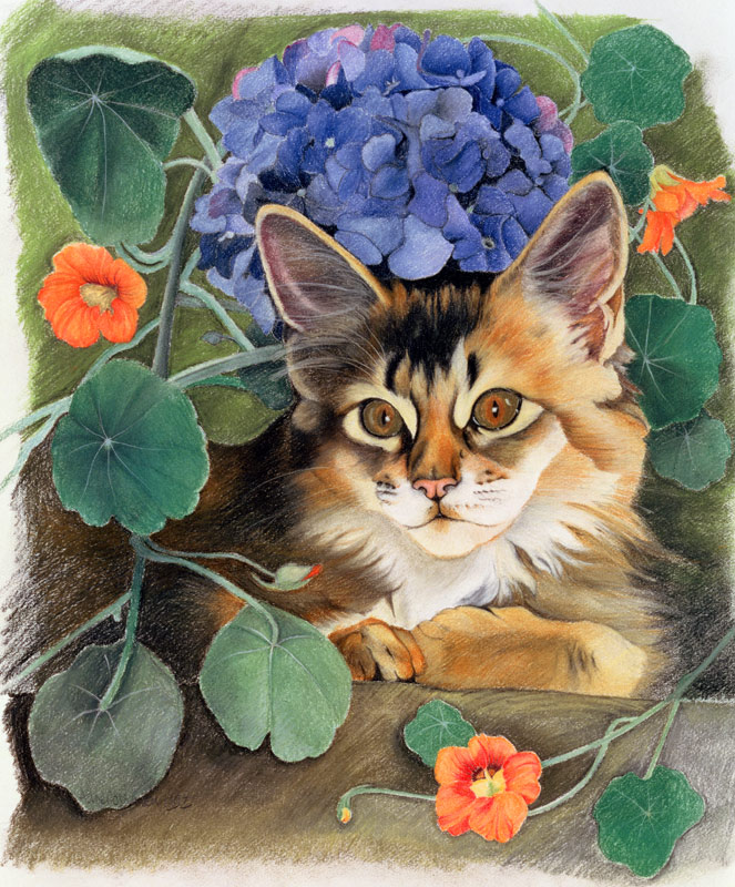 Sootsy with Hydrangea (pastel on paper)  von Anne  Robinson