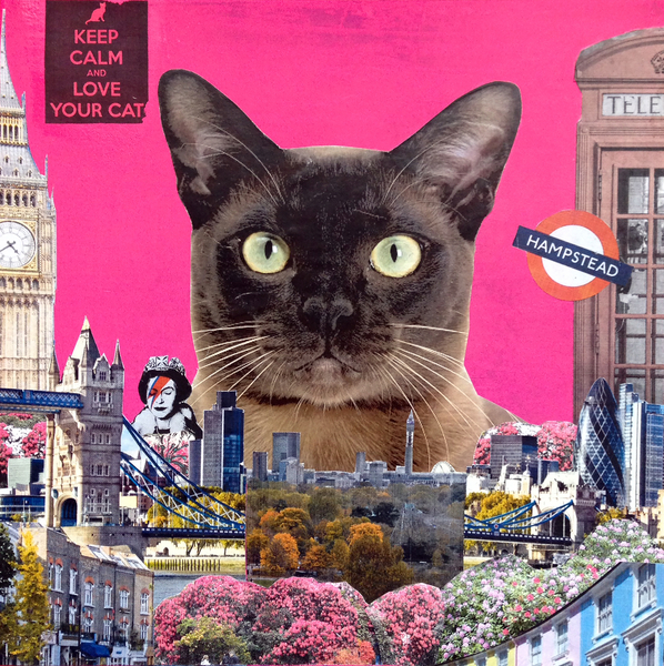 Urban cat von Anne Storno