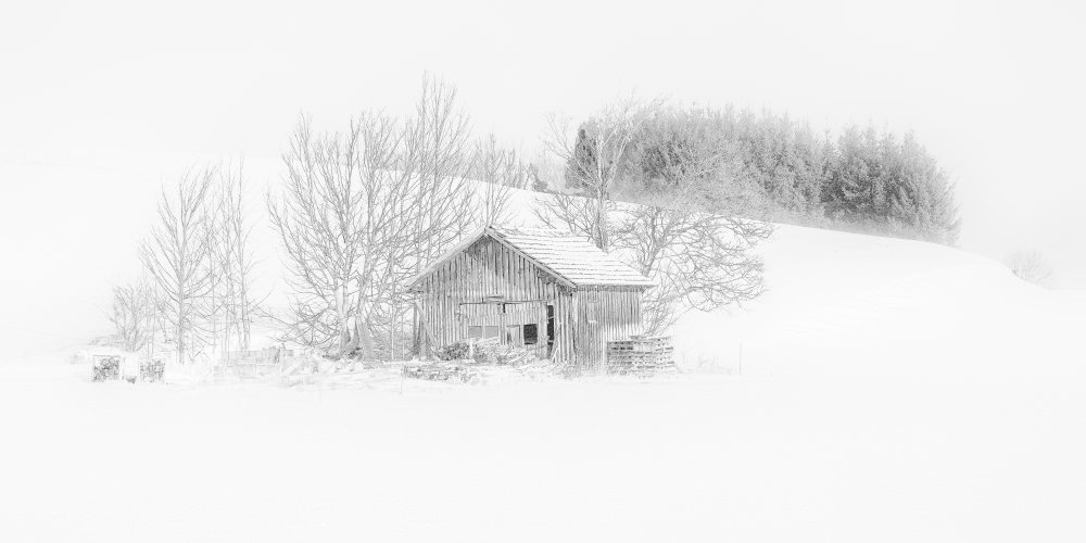 In a misty snowworld von Annie Keizer