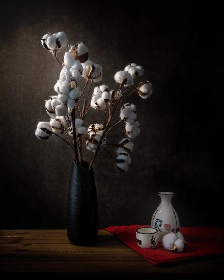 Cotton flowers