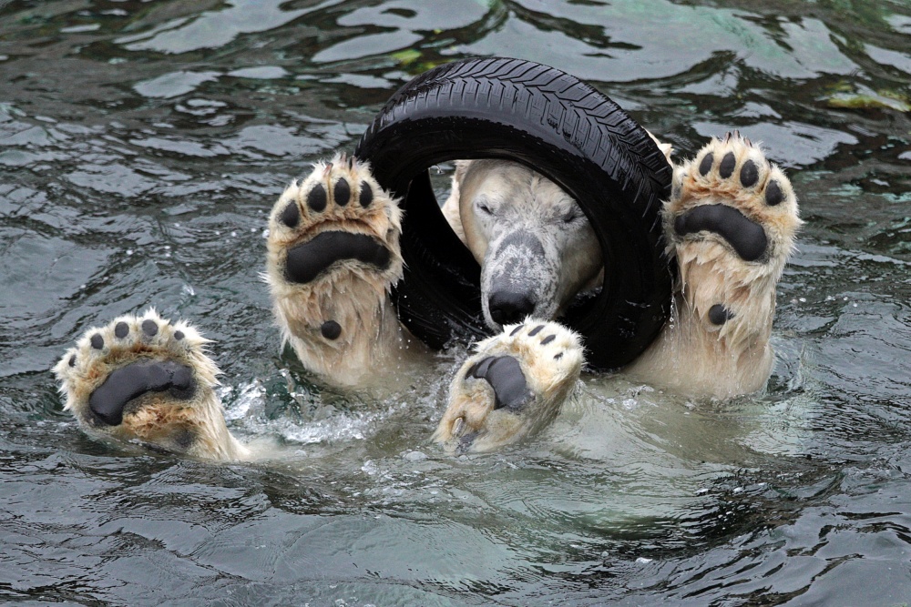 PLAYING THE TIRE (or: THE MECHANIC ;-) von Antje Wenner-Braun