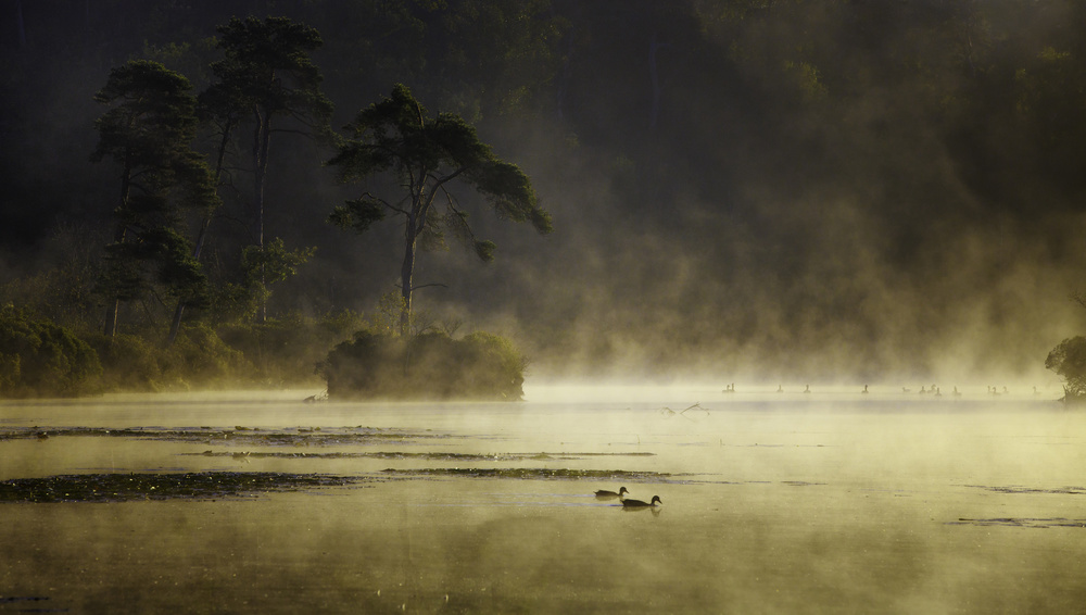 Smoke on the water von Anton Van Dongen