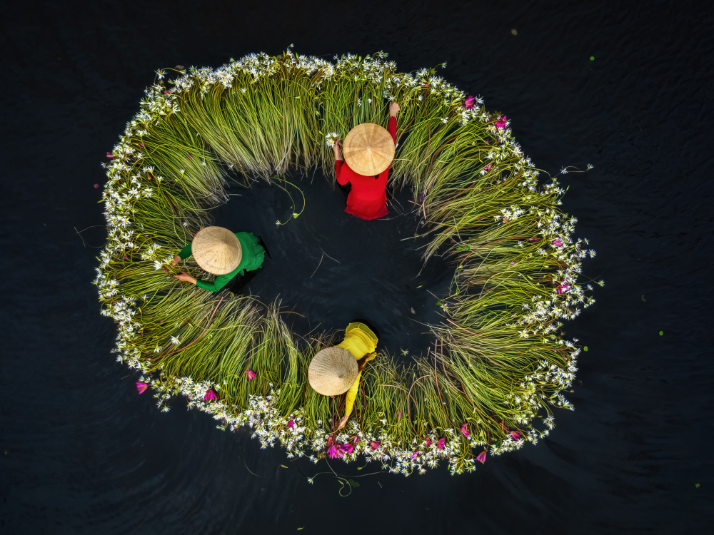 Flower pickers von Antoni Figueras