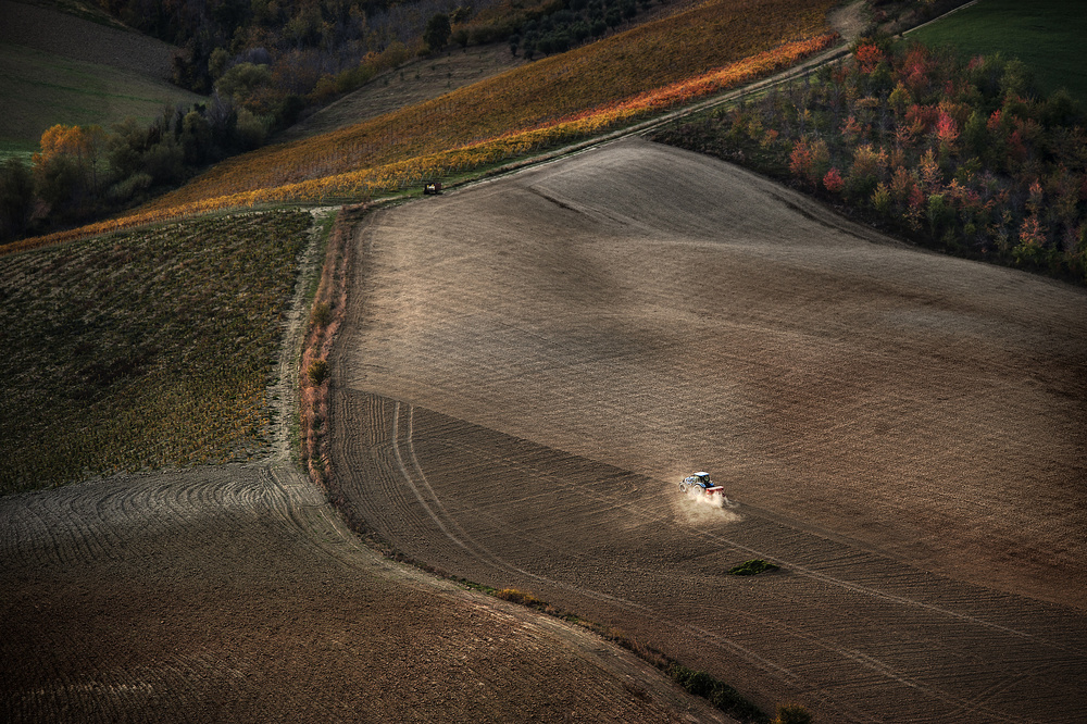 November fields von Antonio and Giuliana Corradetti