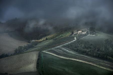 Sunbeams in the fog