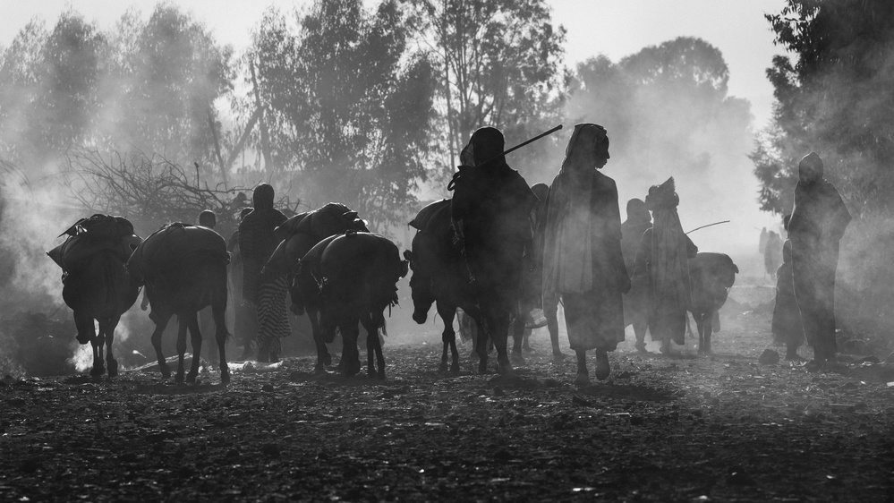 A grande jornada von António Carreira