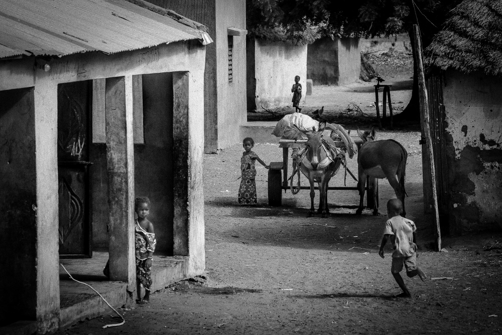 Scenes from a street with no name von António Carreira