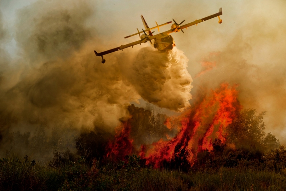 Fire in the National Park of Cilento #1 von Antonio Grambone