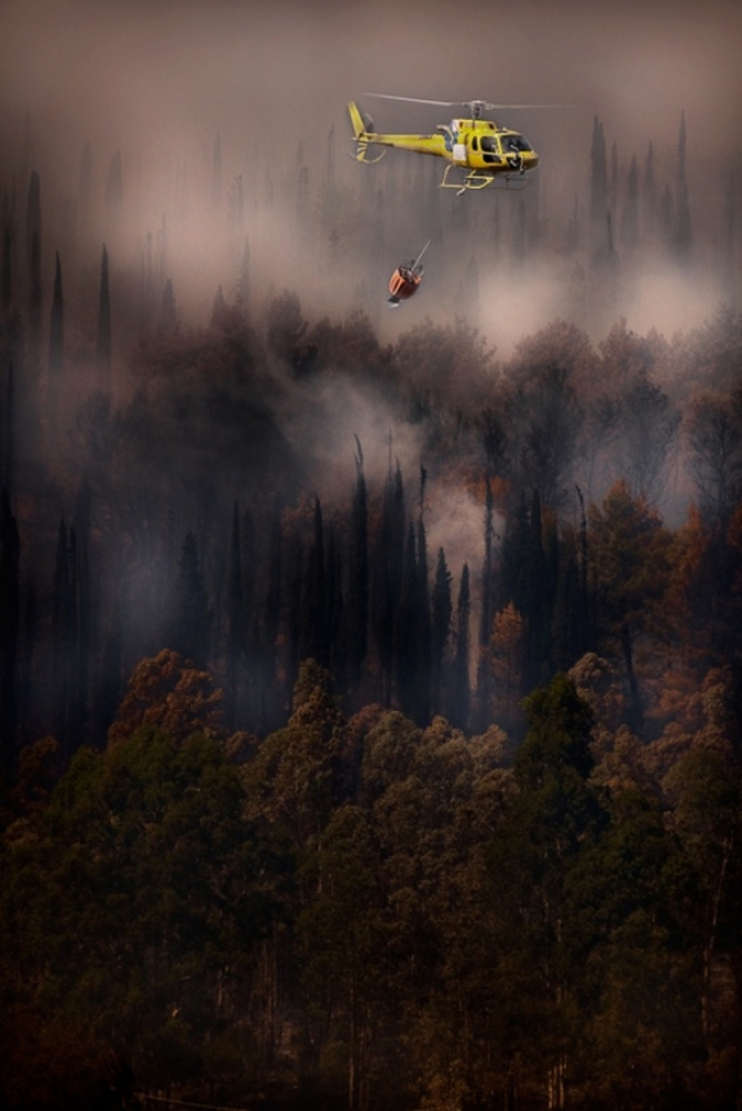 Fire in the Cilento National Park - Italy von Antonio Grambone