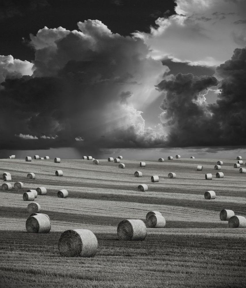 Stormy Harvest von Antony Zacharias