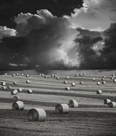 Stormy Harvest