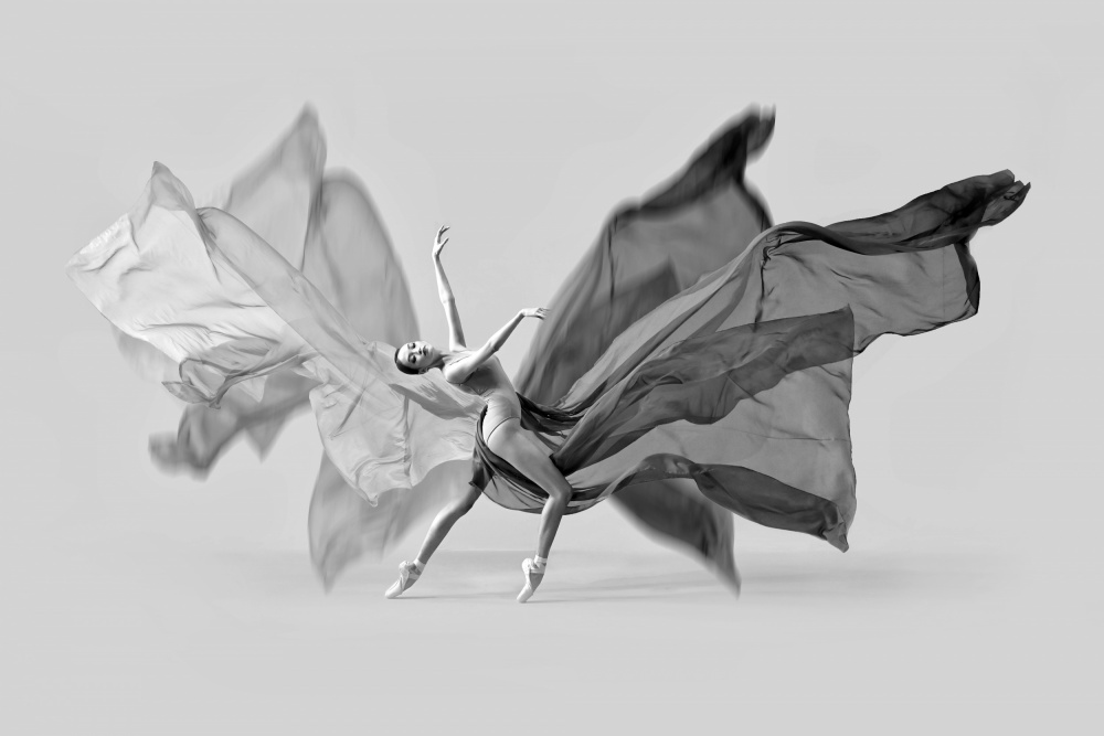 Balerina Butterfly Dance von Antonyus Bunjamin (Abe)