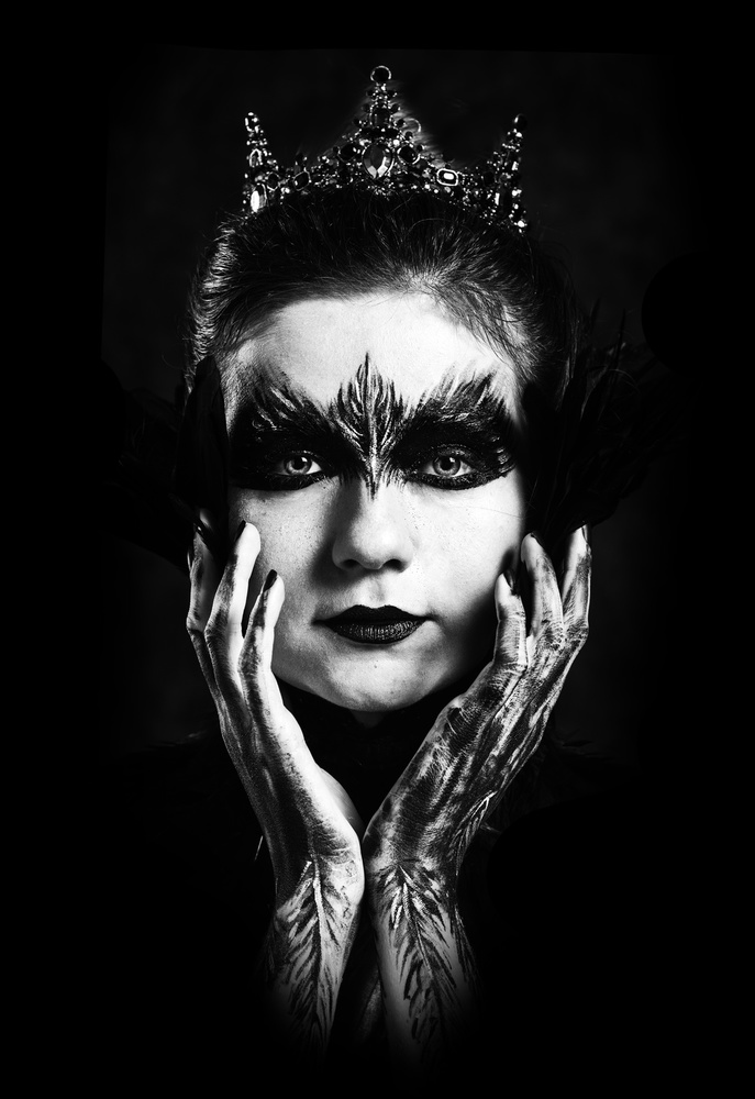 Black Swan von Antonyus Bunjamin (Abe)