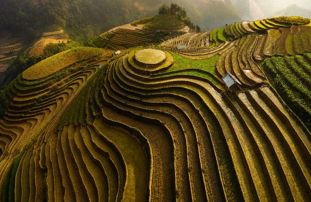 mu cang chai - vietnam von Đào Tấn Phát