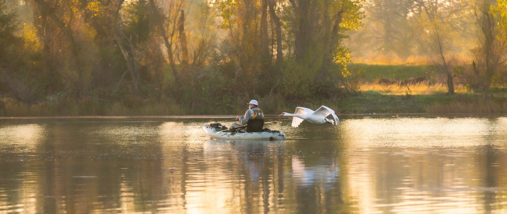 Fishing Swan Lake von April Xie