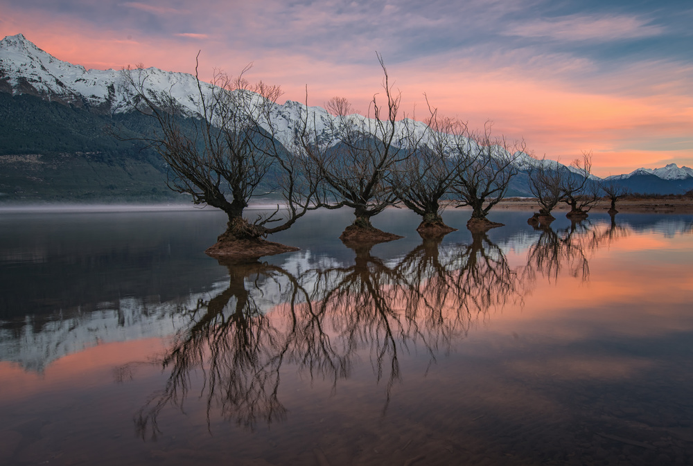 One Calm Pink Sunrise von April Xie