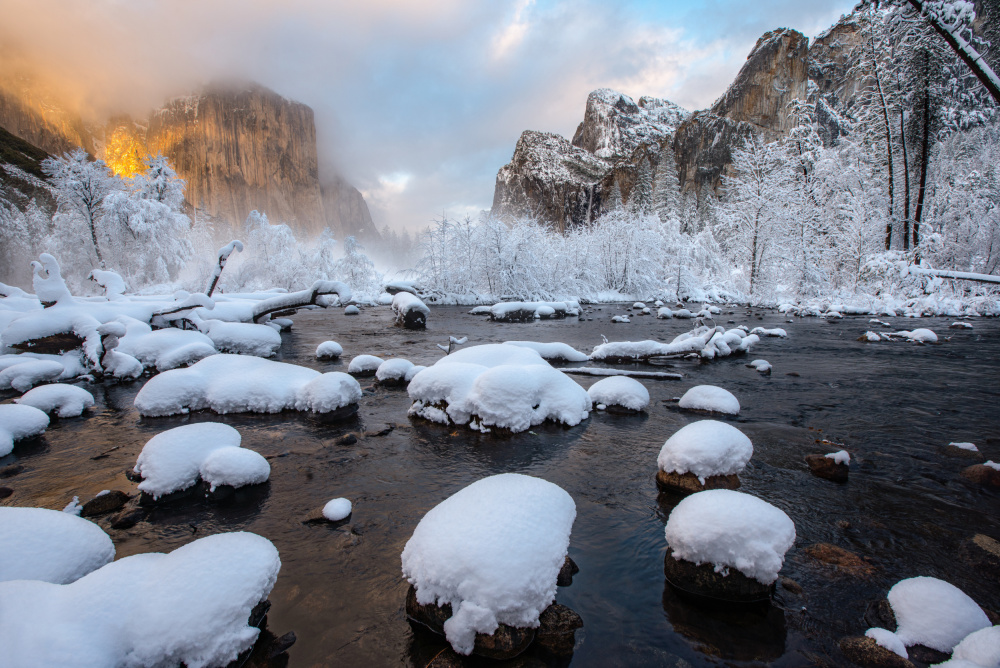 Fresh Snow at Yosemite von April Xie