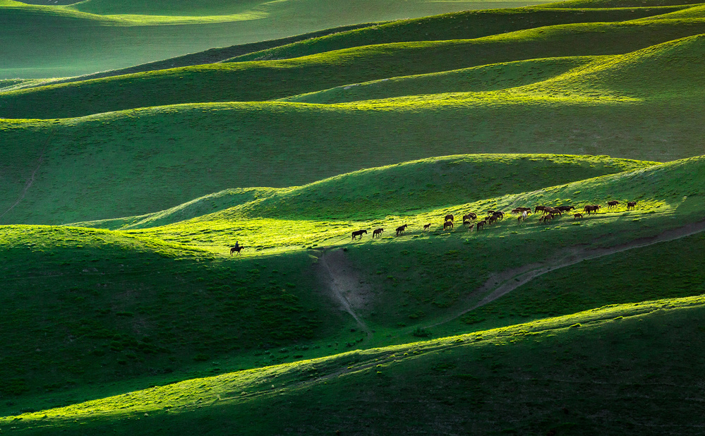 Road Back Home von April Xie